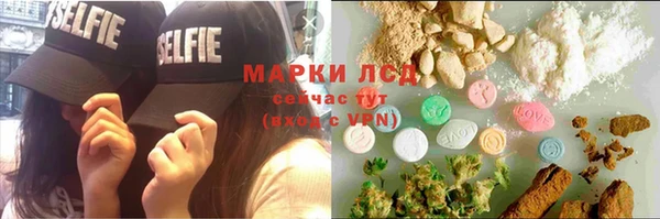 амф Богданович
