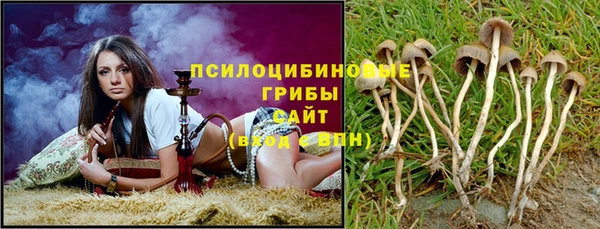 мдпв Богородицк
