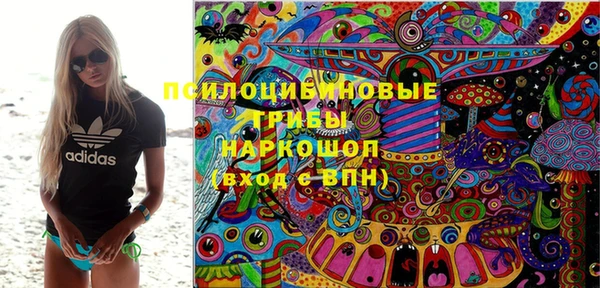 мдпв Богородицк