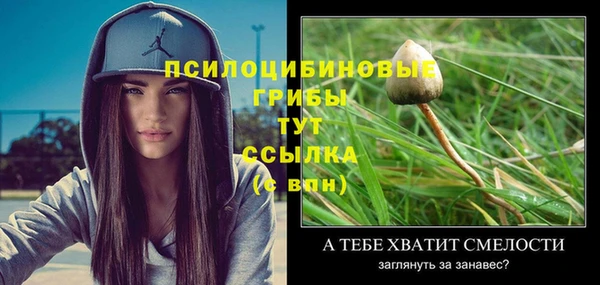 амф Богданович