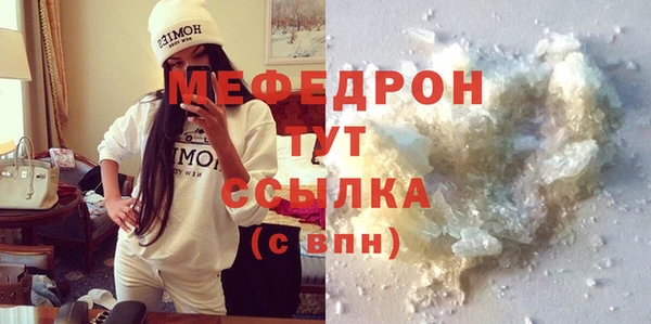 мдпв Богородицк