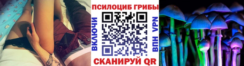 кракен ONION  Костерёво  Псилоцибиновые грибы ЛСД 